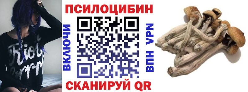 MEGA ONION  Козьмодемьянск  Псилоцибиновые грибы мицелий  закладка 