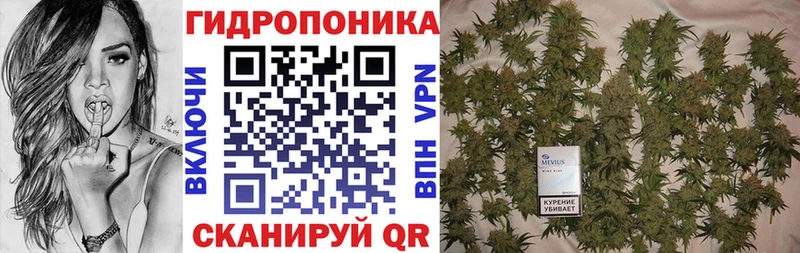 Каннабис гибрид  магазин продажи   Козьмодемьянск 